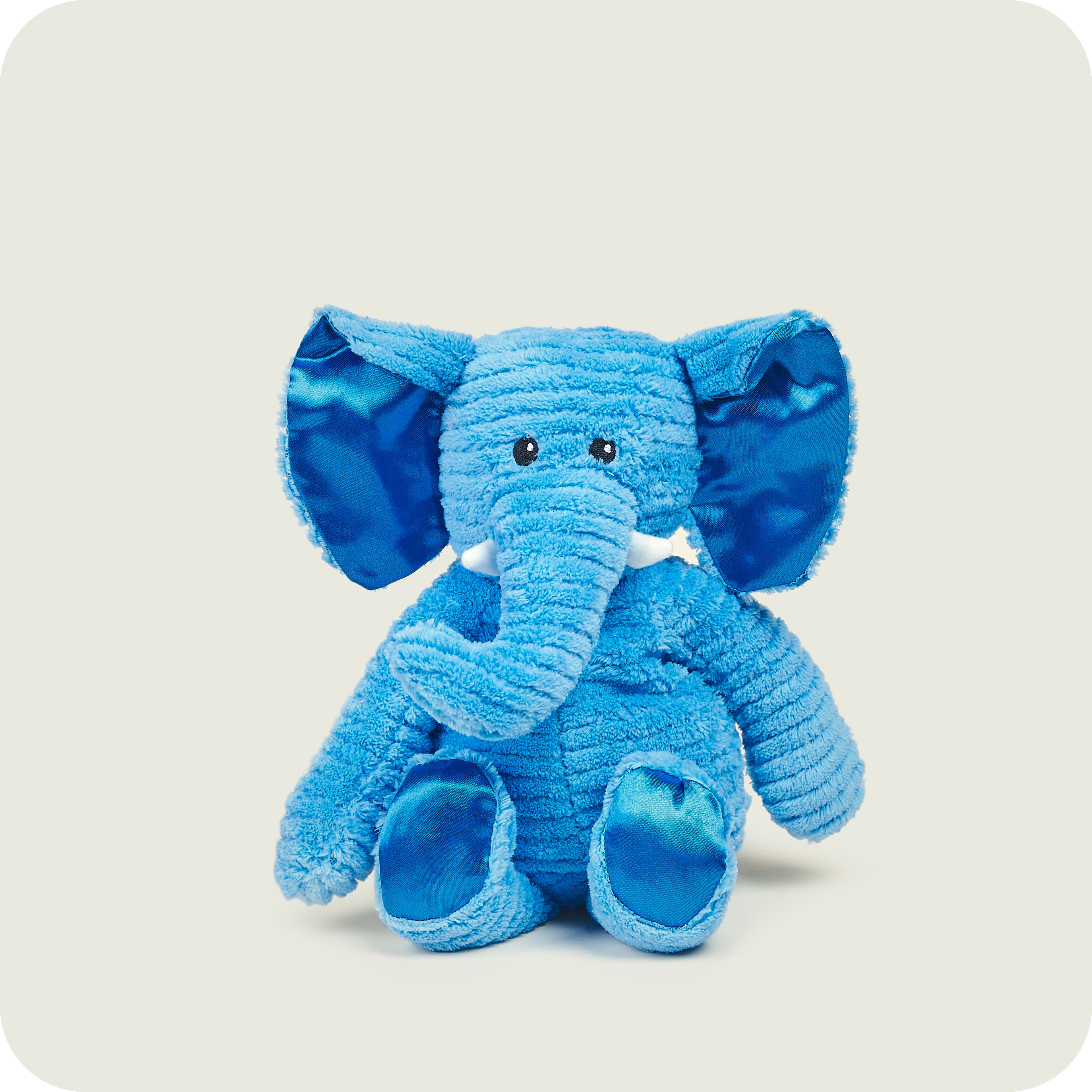 My First Elephant