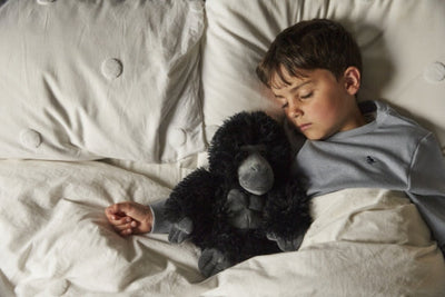 How to Create the Perfect Bedtime Buddy Routine