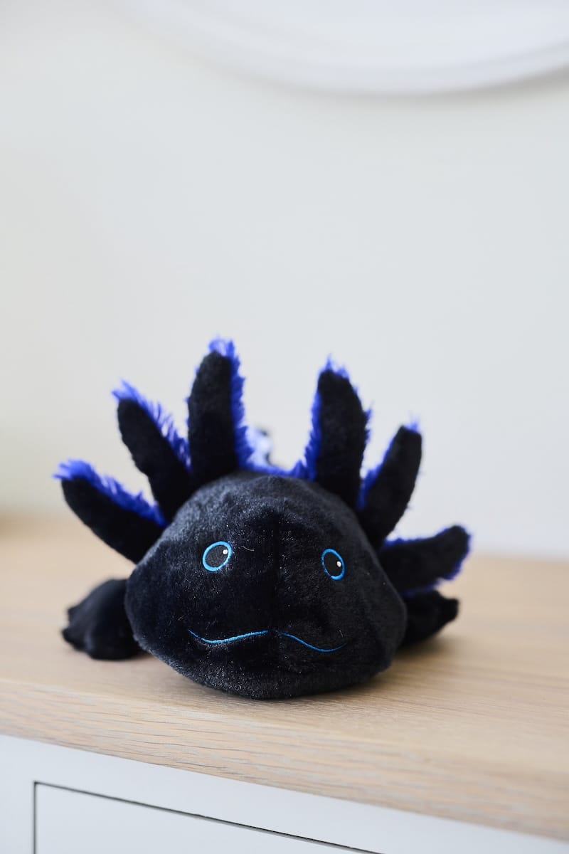 Warmies® Black Axolotl