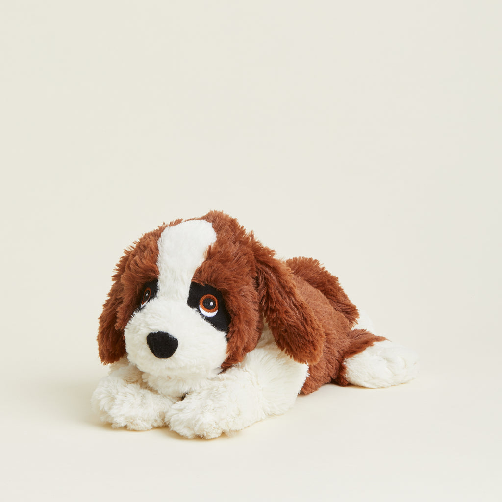 ® St Bernard