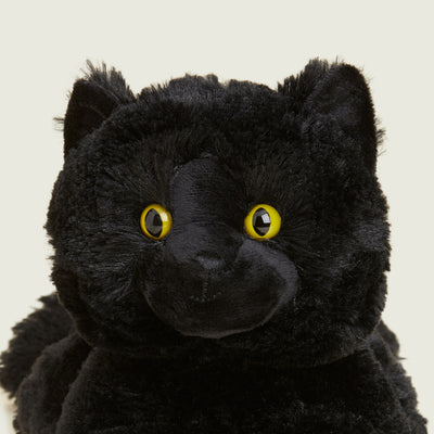 Warmies Black Cat (5)