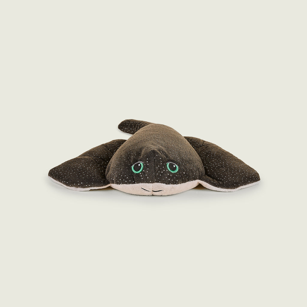 ® Manta Ray