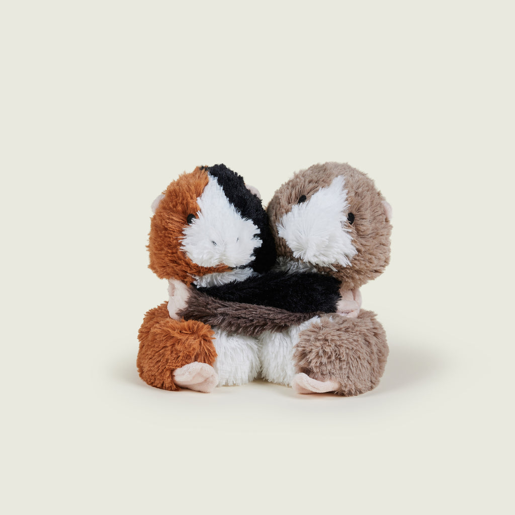 ® Warm Hugs Guinea Pigs