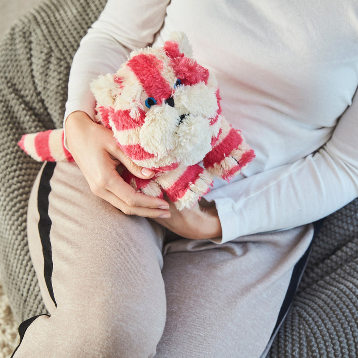 Bagpuss Cat Warmies UK