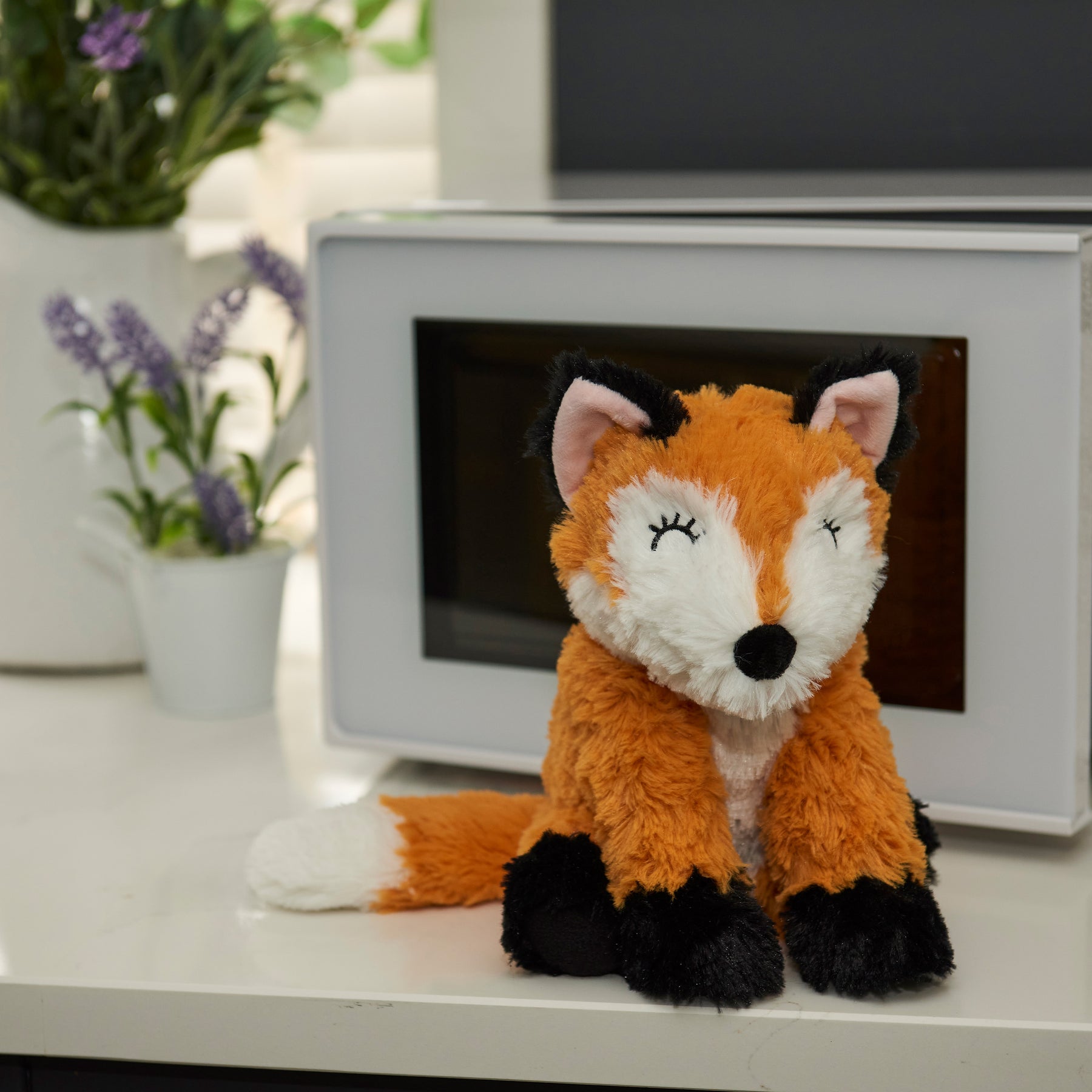 Warmies fox on sale